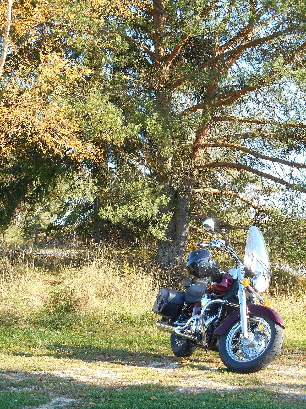 Honda VT750C Shadow motorsykkel